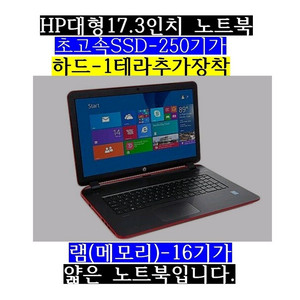 17.3/HP/i5 4210/램16/SSD250/1테라