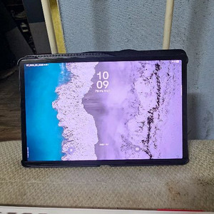 겔럭시탭 S8+ 256 will