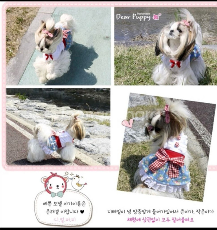디얼퍼피 강아지옷 러브미 원피스 m--3