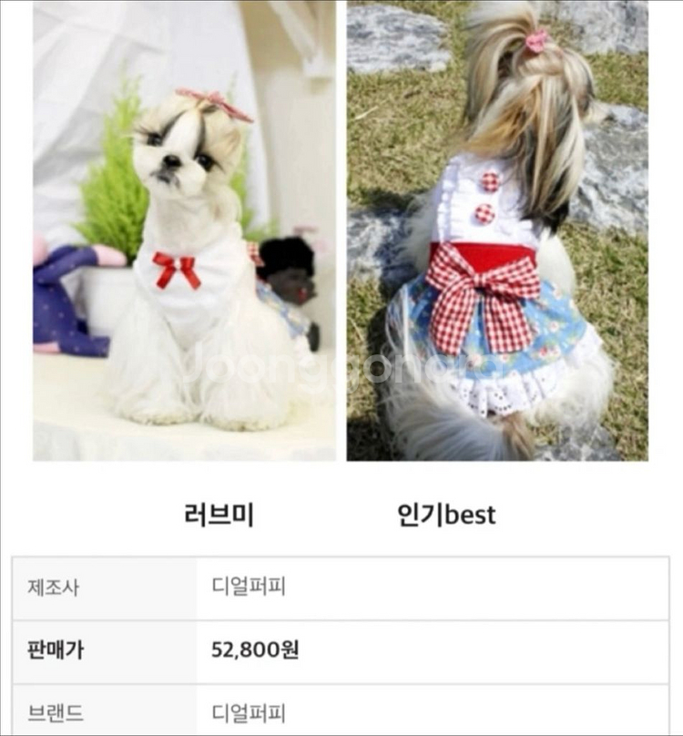 디얼퍼피 강아지옷 러브미 원피스 m--0