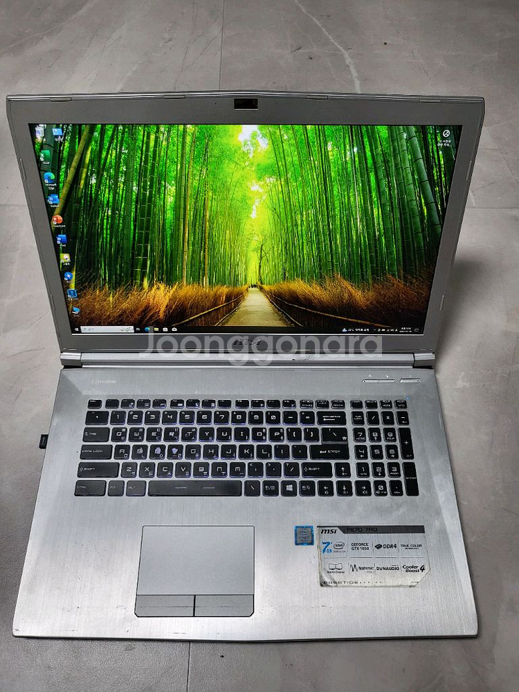 대형17.3/i7 7700HQ/램16/SSD256/1테--1