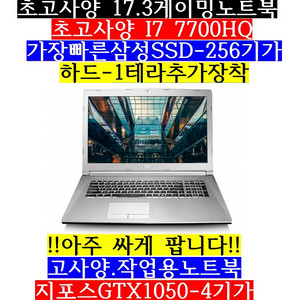 대형17.3/i7 7700HQ/램16/SSD256/1테
