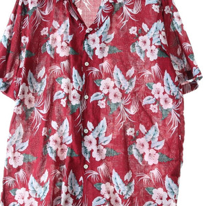 (XL-2XL) 브랜드빈티지 반팔셔츠 남방 쉬원소재