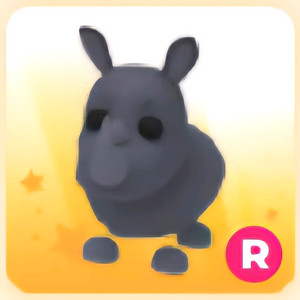 입양하세요 R 코뿔소