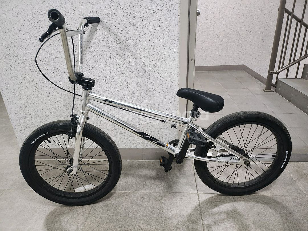아메리칸이글 BMX 20인치--0