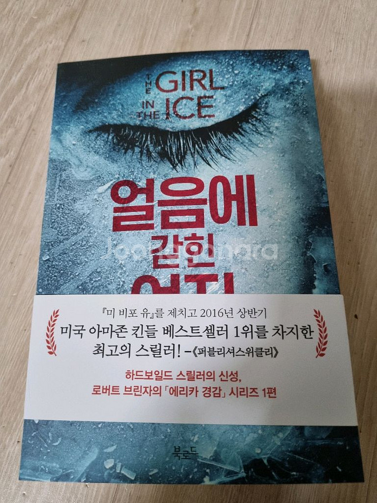 얼음에 갇힌 여자. 소설. 추리--0