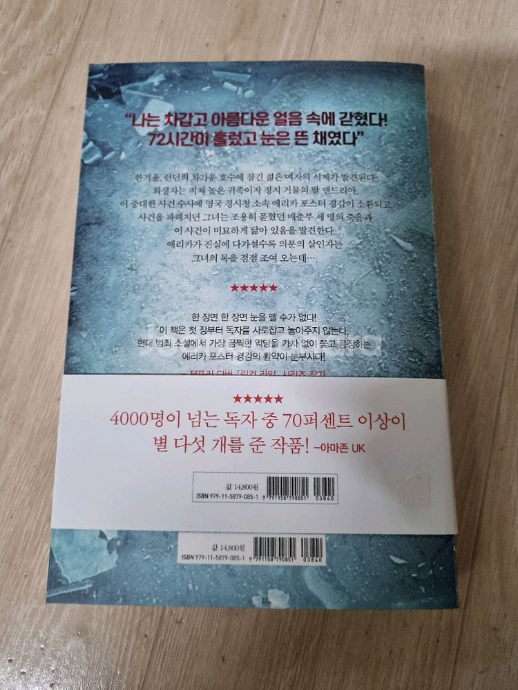 얼음에 갇힌 여자. 소설. 추리--1
