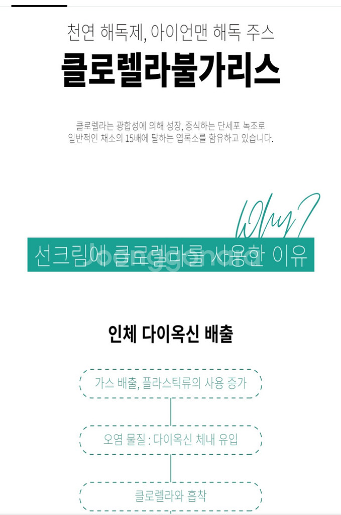 베몽테스 파이썬가드(새상품)--3
