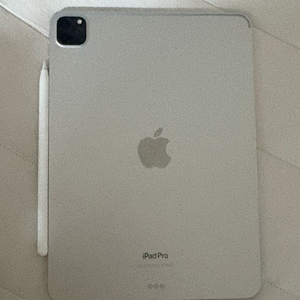 아이패드 프로 11 4세대 256기가 + 애플펜슬