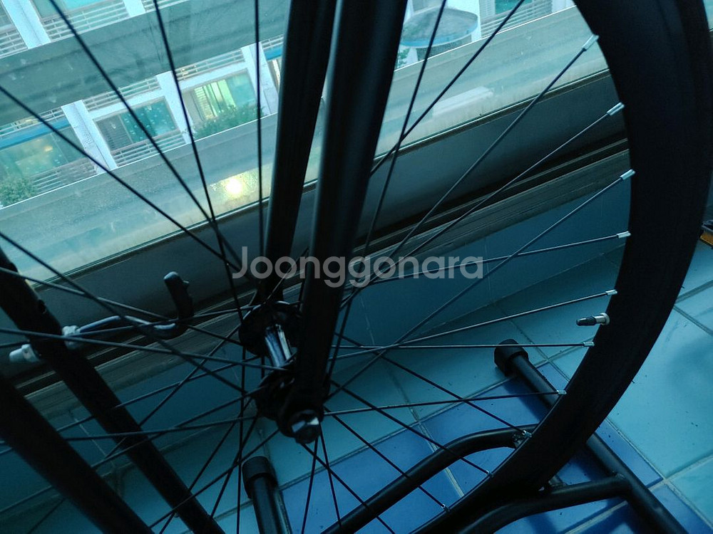 에콜로직스 픽시자전거(라이저바)실내보관--7
