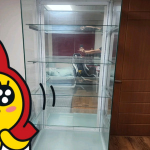 마이뮤지엄 장식장