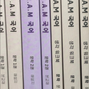 2026 피램 생각의 전개 문학편 수능 국어 문학 독학
