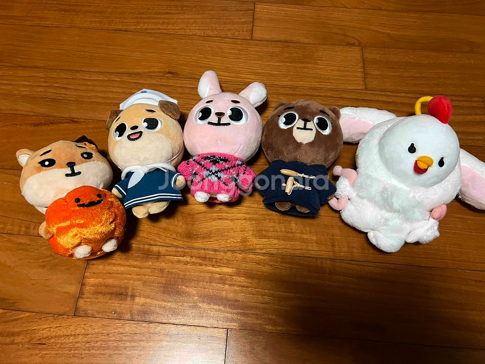 데이식스 2020 데니멀즈 일괄--0