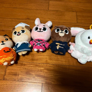 데이식스 2020 데니멀즈 일괄
