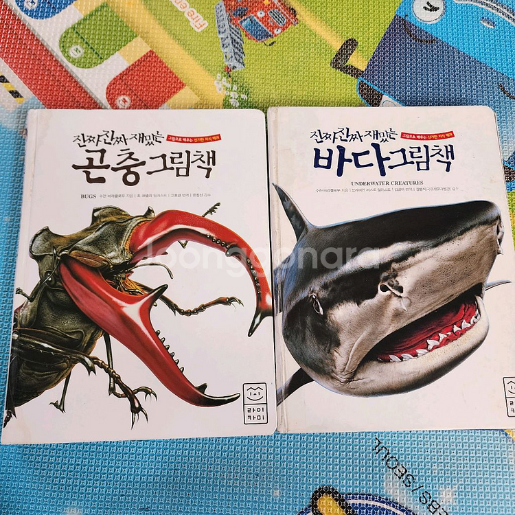 진짜진짜 재밌는 바다그림책, 곤충그림책--0