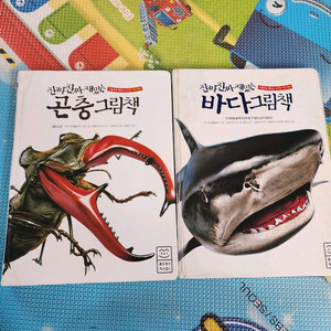 진짜진짜 재밌는 바다그림책, 곤충그림책