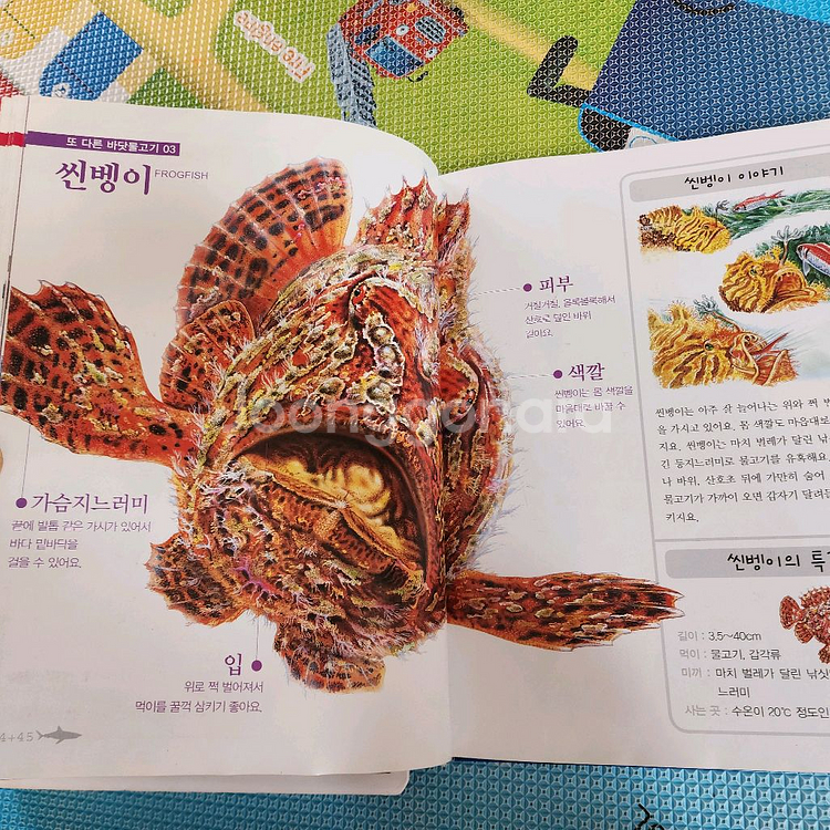 진짜진짜 재밌는 바다그림책, 곤충그림책--2
