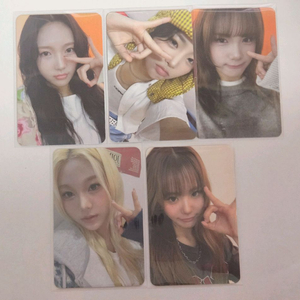 영파씨 홈커밍 포카