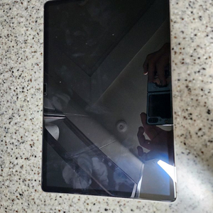 갤럭시탭S9+ 265기가