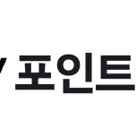 네이버페이 포인트 100만원