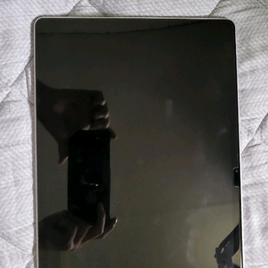 갤럭시 탭 s10plus 256 wifi