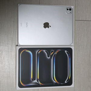 아이패드 프로 11 M4 1TB Wi-Fi 16GB