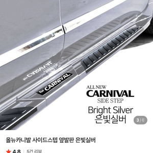 올뉴카니발 사이드스텝 은빛실버 조수석 오른쪽