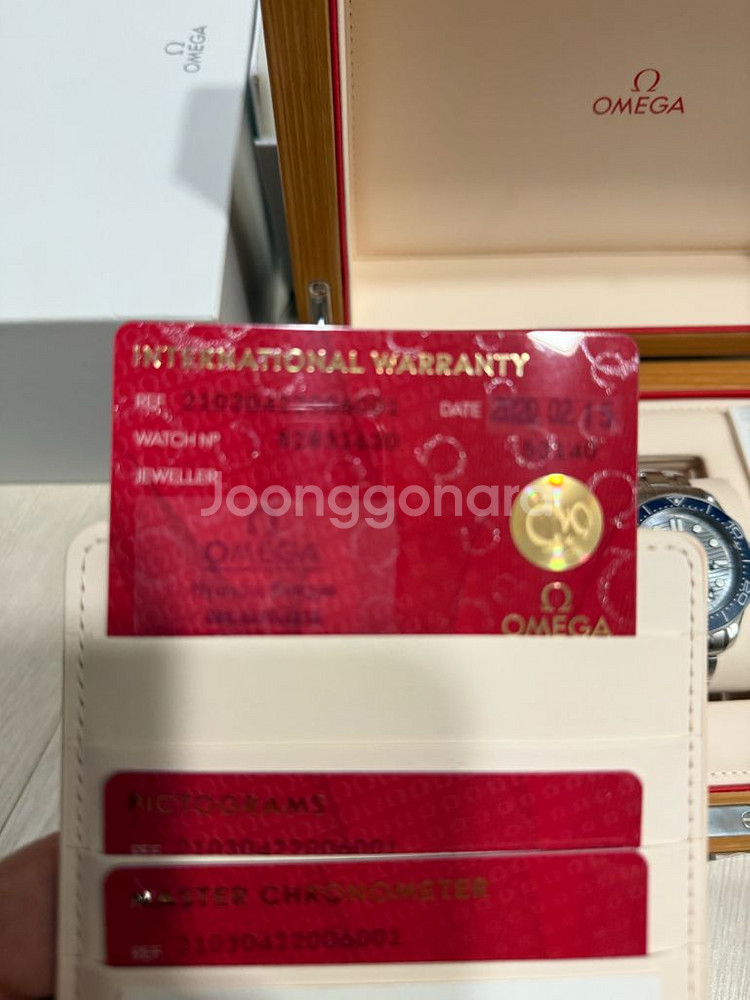 오메가 씨마스터300 그레이다이얼팜--6