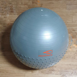 프로스펙스 짐볼 65cm 휘트니스 밸런스 요기 필라테스