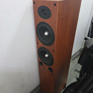 모던쇼트 카니발8