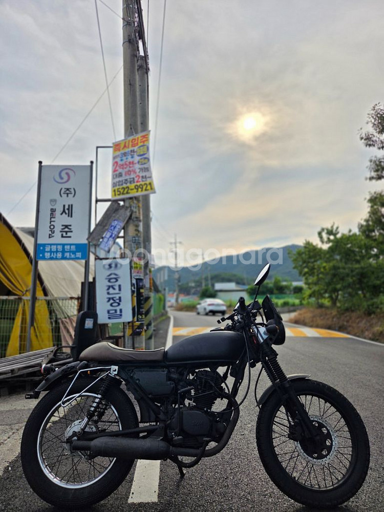 SYM 울프125 커스텀--4