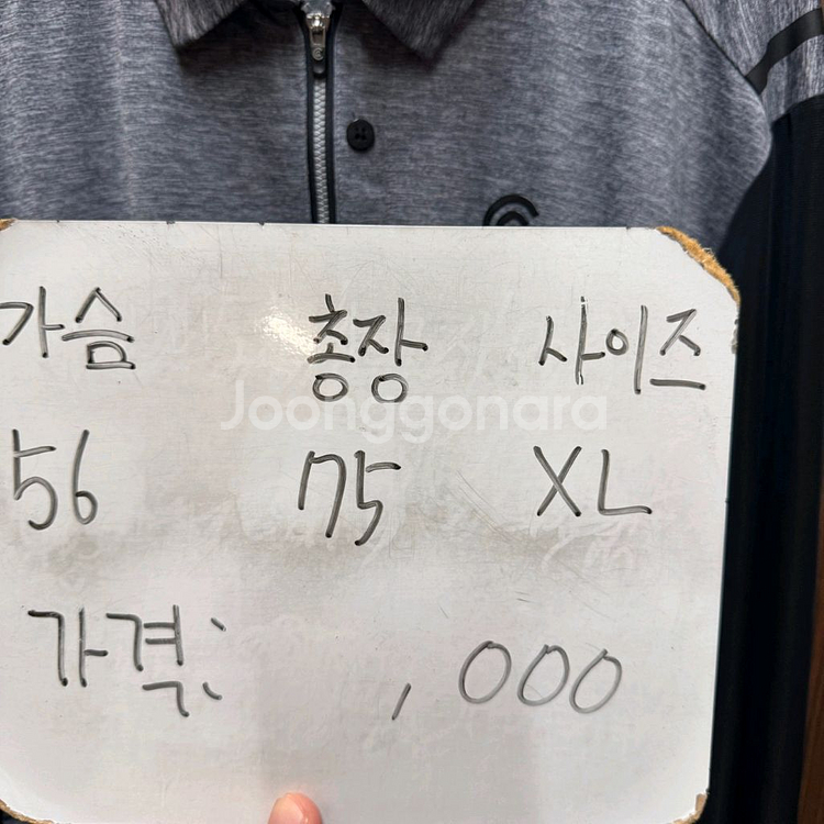 클리브랜드 골프웨어 긴팔 카라티셔츠--3