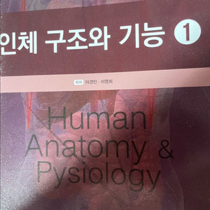 간호학과-인체 구조와 기능