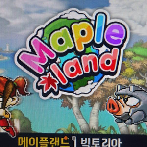 메이플랜드 메소 뇌전 6통판매