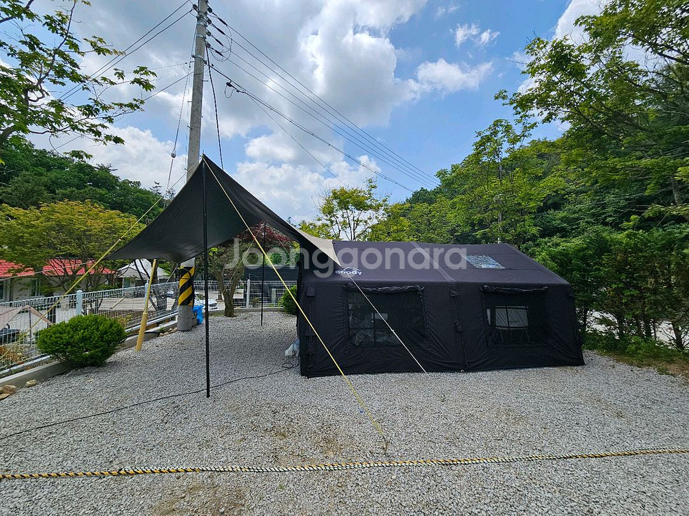 쿠디파밀리아킨--1