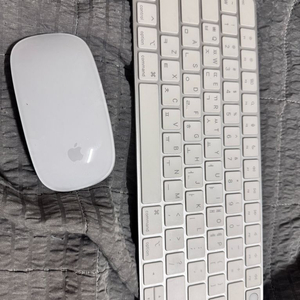 애플 정품 키보드와 마우스입니다 ㅠ 급쳐ㅠ