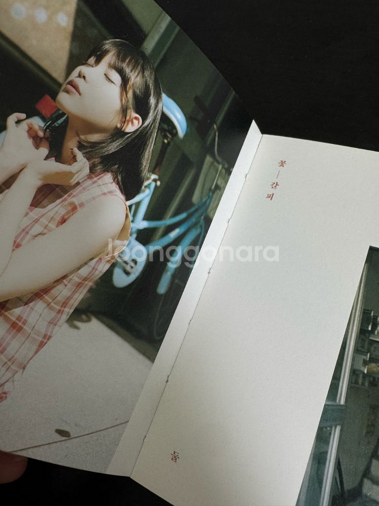 [절판] 아이유 꽃갈피 둘 앨범 (슬리브+CD+북클릿--3