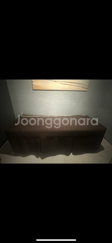 급처분 전동마사지베드 팝니다--1