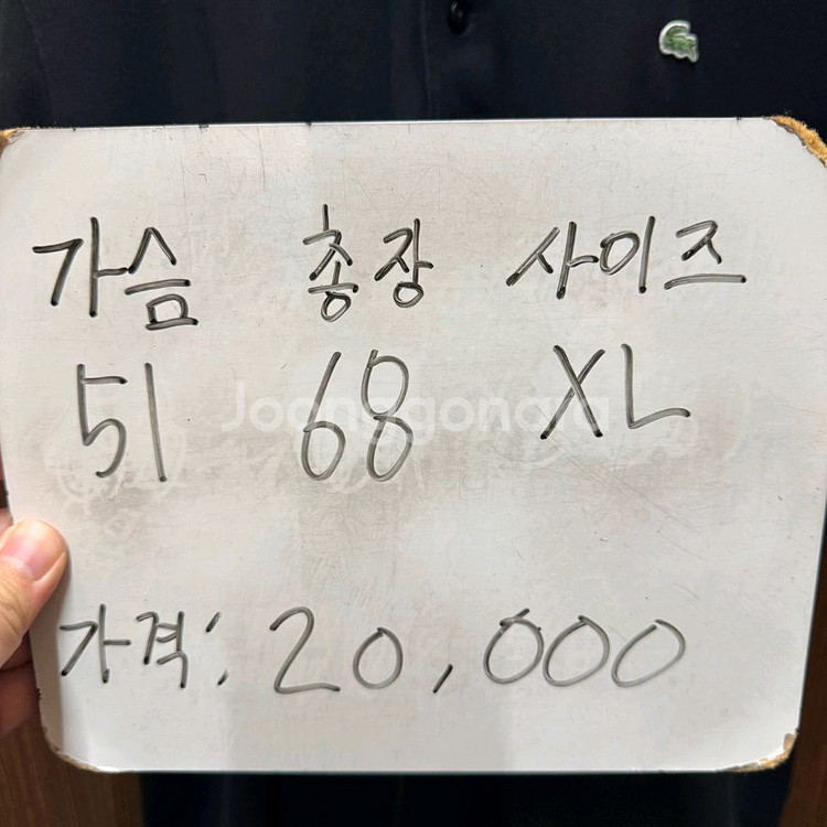 라코스테 반팔 카라티셔츠--5