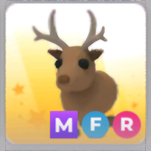 입양하세요 MFR 순록 급처!!