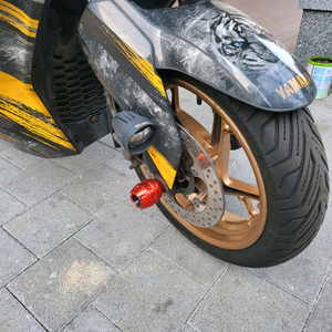 xmax 300 23년씩 페리