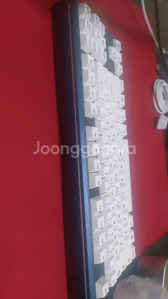 베놈87HE 린웍스 2021특주 돌고래--2