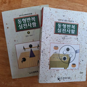 (삽니다) 동형반복 실전사활