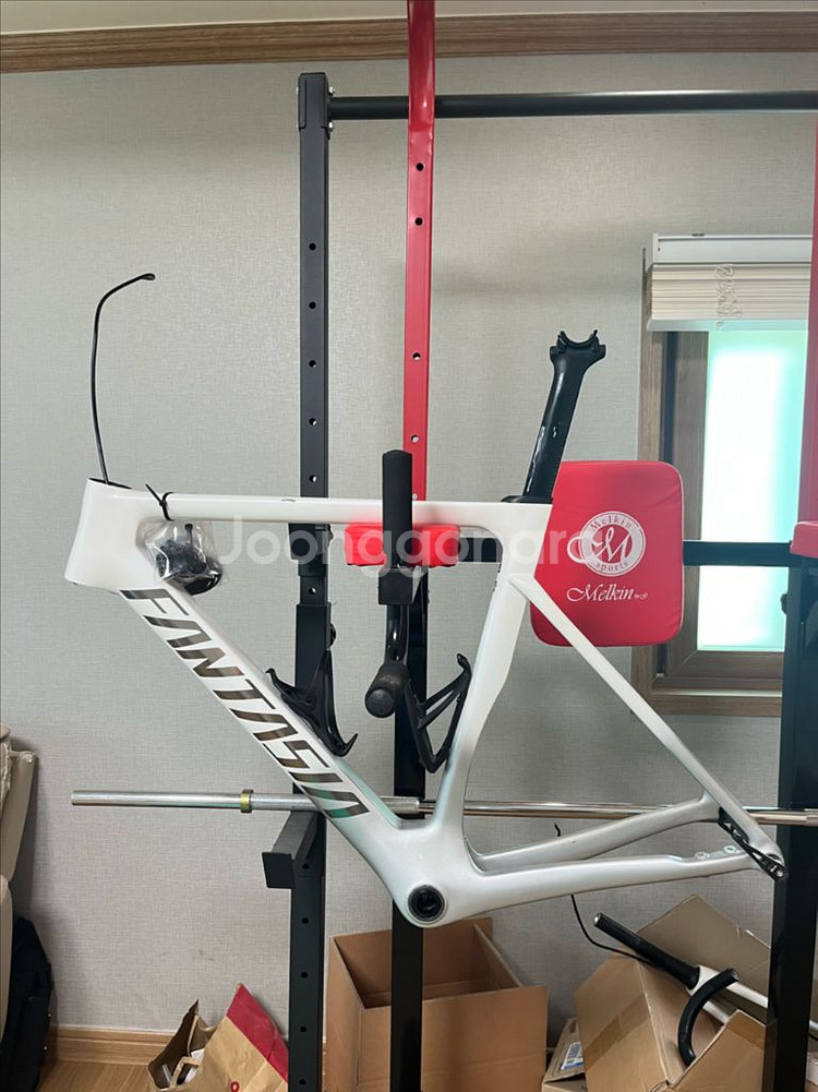 판타시아 레이다 풀카본 프레임셋 m사이즈--0