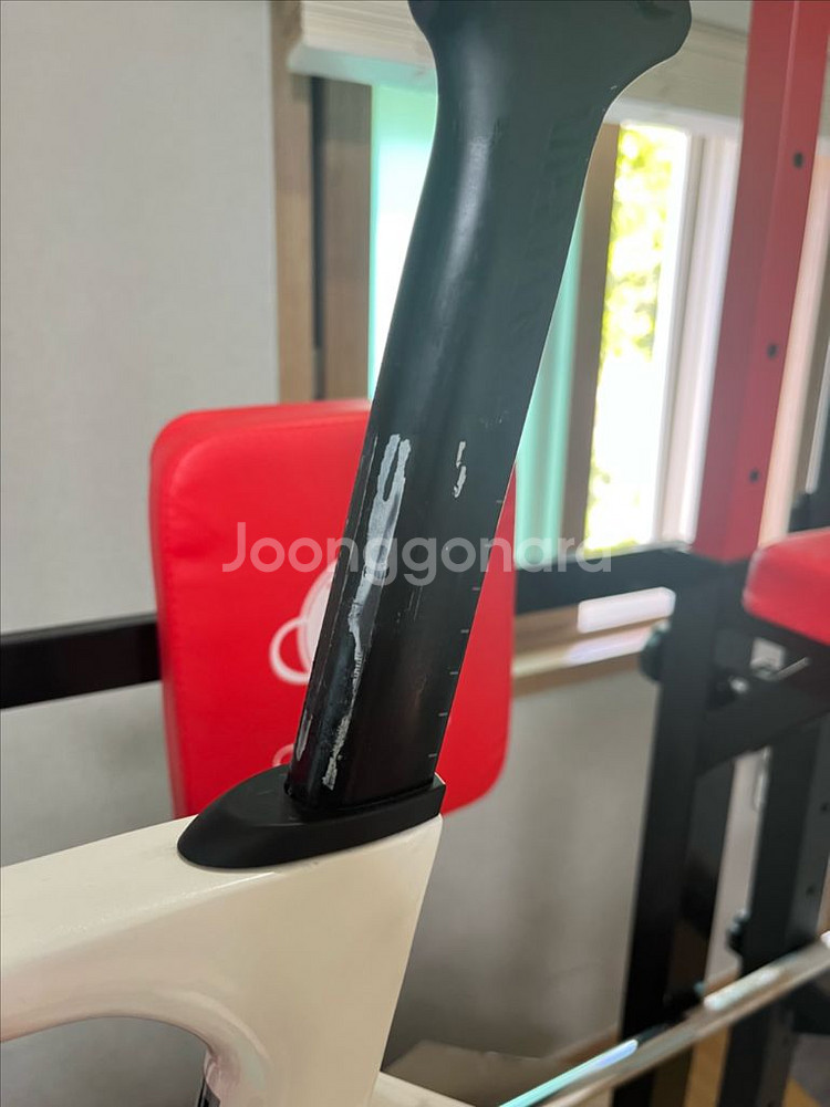 판타시아 레이다 풀카본 프레임셋 m사이즈--4