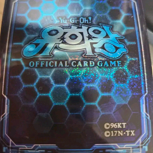 유희왕 프로텍터 108매