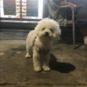 릴 뚜껑 삽니다