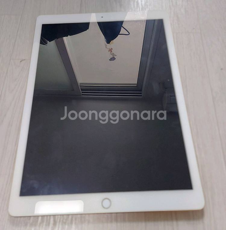 아이패드 프로 12.9 (128 GB Gold c--0