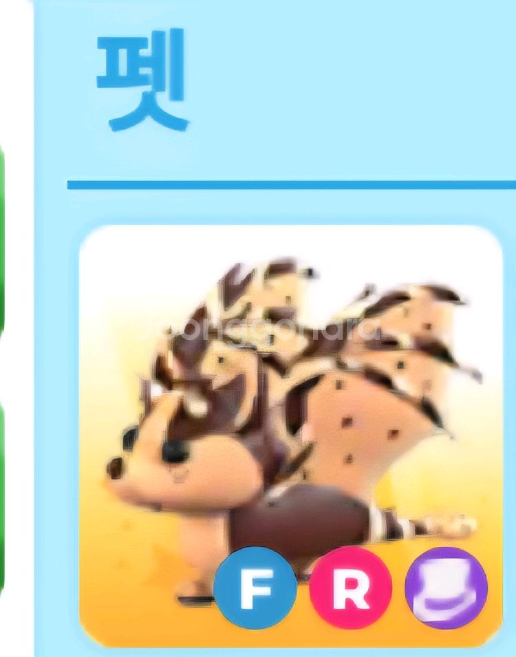 입양하세요 얼음나방드래곤, 초코 드래곤--1