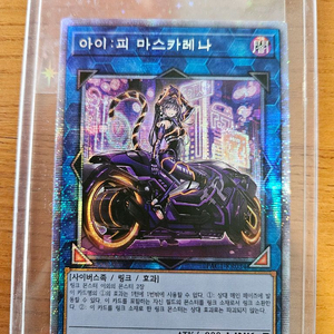 마스카레나 프싴 판매합니다 이미지